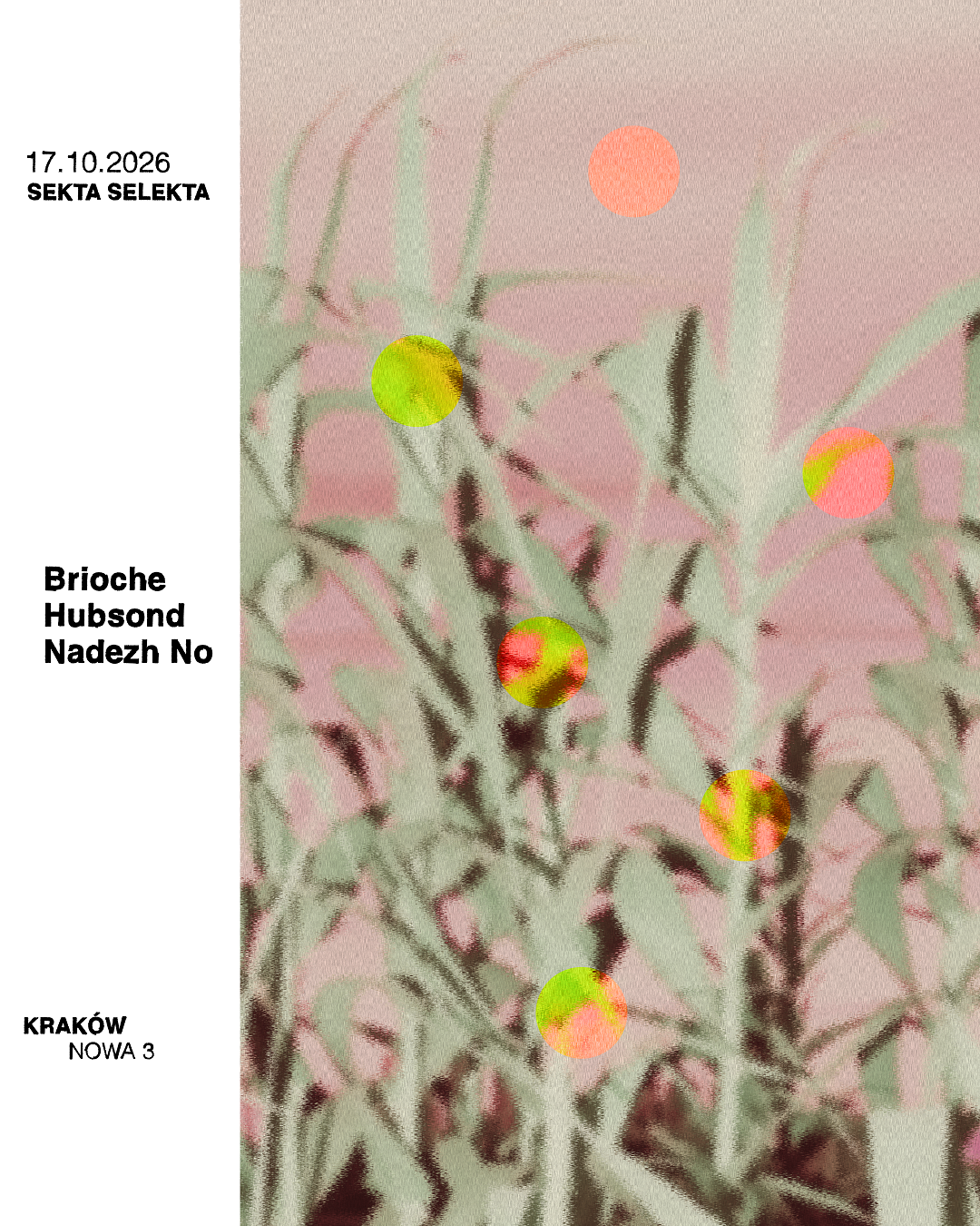 Sekta Selekta: Brioche, Hubsond, Nadezh No