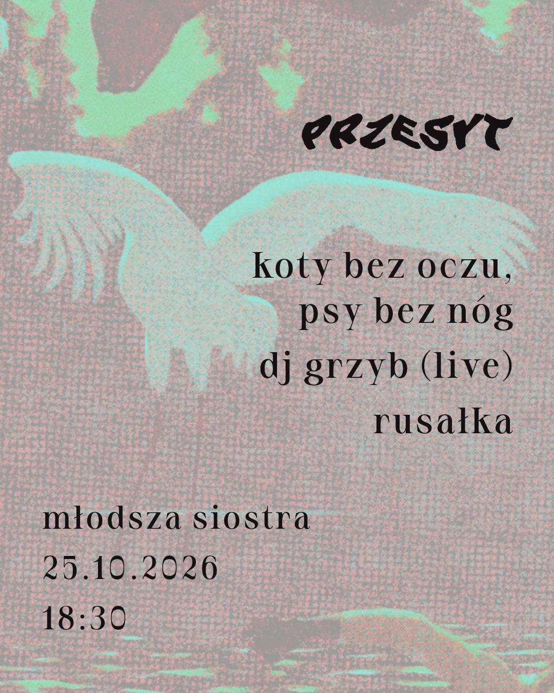 Przesyt: Koty bez oczu, psy bez nóg, DJ Grzyb (liv